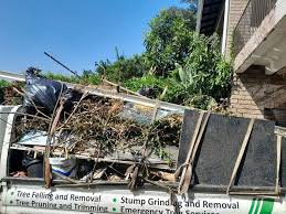 Best Moving and Downsizing Cleanouts  in Greenfield, IA